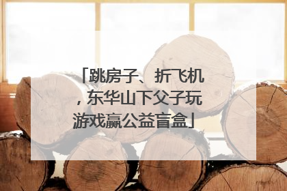 跳房子、折飞机，东华山下父子玩游戏赢公益盲盒