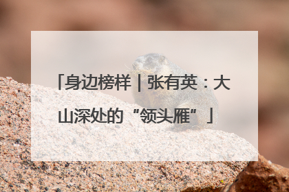 身边榜样｜张有英：大山深处的“领头雁”