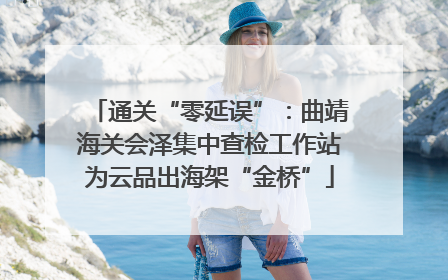 通关“零延误”：曲靖海关会泽集中查检工作站为云品出海架“金桥”