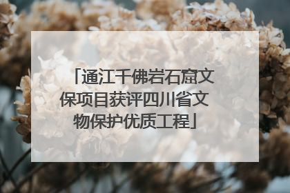 通江千佛岩石窟文保项目获评四川省文物保护优质工程