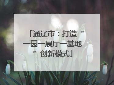 通辽市：打造“一园一展厅一基地”创新模式