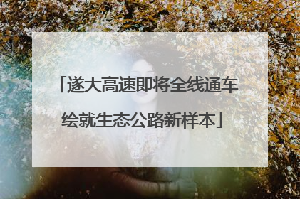遂大高速即将全线通车 绘就生态公路新样本
