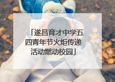 遂昌育才中学五四青年节火炬传递活动燃动校园