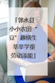 邻水县：小小农田“豆”趣横生 莘莘学童劳动添能