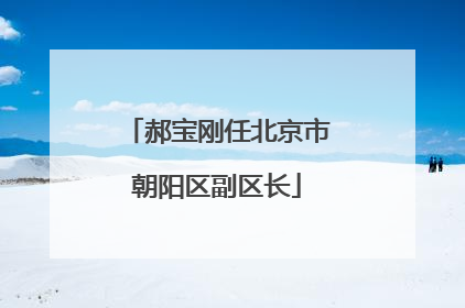 郝宝刚任北京市朝阳区副区长
