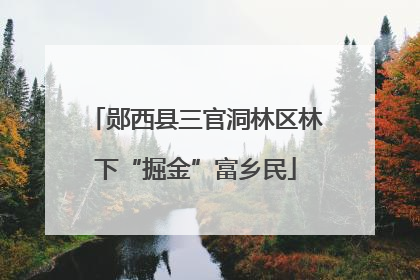 郧西县三官洞林区林下“掘金”富乡民