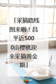 采摘路线图来啦！昌平近5000亩樱桃迎来采摘黄金期