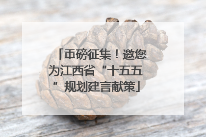 重磅征集！邀您为江西省“十五五”规划建言献策