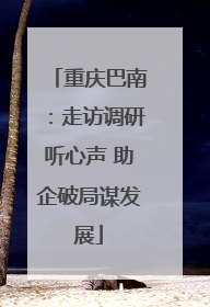 重庆巴南：走访调研听心声 助企破局谋发展