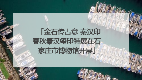 金石传古意 秦汉印春秋秦汉玺印特展在石家庄市博物馆开展