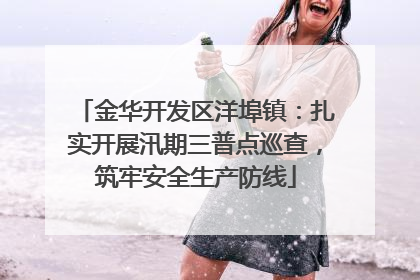 金华开发区洋埠镇：扎实开展汛期三普点巡查，筑牢安全生产防线