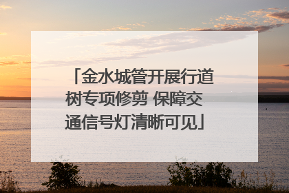 金水城管开展行道树专项修剪 保障交通信号灯清晰可见