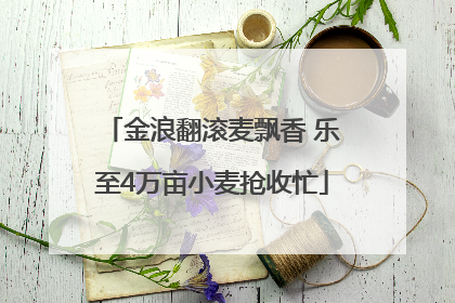 金浪翻滚麦飘香 乐至4万亩小麦抢收忙