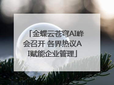 金蝶云苍穹AI峰会召开 各界热议AI赋能企业管理