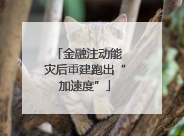 金融注动能 灾后重建跑出“加速度”