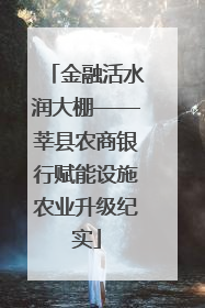 金融活水润大棚——莘县农商银行赋能设施农业升级纪实