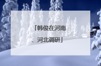 韩俊在河南、河北调研