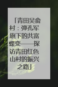青田吴畲村：弹孔军旗下的共富蝶变——探访青田红色山村的振兴之路
