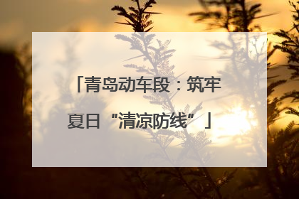青岛动车段：筑牢夏日“清凉防线”