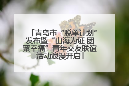 青岛市“脱单计划”发布暨“山海为证 团聚幸福”青年交友联谊活动浪漫开启