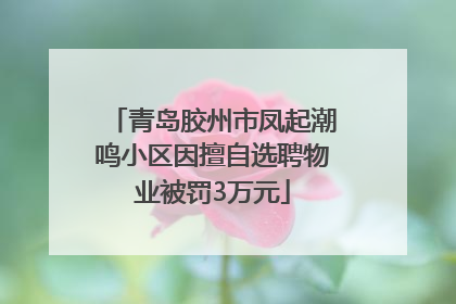 青岛胶州市凤起潮鸣小区因擅自选聘物业被罚3万元