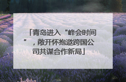 青岛进入“峰会时间”，敞开怀抱邀跨国公司共谋合作新局