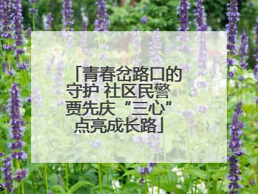 青春岔路口的守护 社区民警贾先庆“三心”点亮成长路