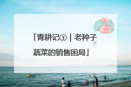 青耕记③｜老种子蔬菜的销售困局
