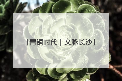 青铜时代｜文脉长沙