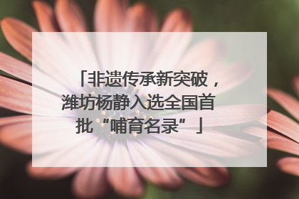 非遗传承新突破，潍坊杨静入选全国首批“哺育名录”