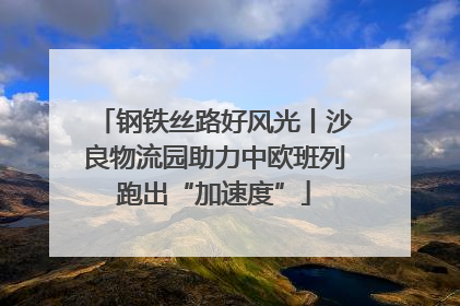 钢铁丝路好风光丨沙良物流园助力中欧班列跑出“加速度”