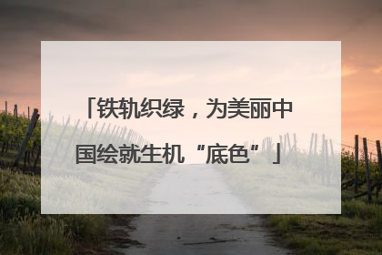 铁轨织绿，为美丽中国绘就生机“底色”