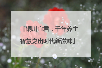 铜川宜君：千年养生智慧烹出时代新滋味