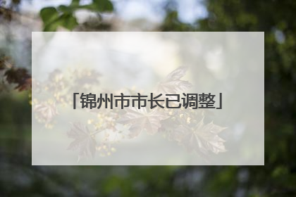 锦州市市长已调整