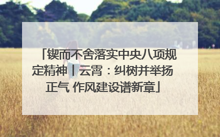 锲而不舍落实中央八项规定精神丨云霄：纠树并举扬正气 作风建设谱新章