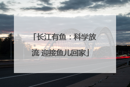 长江有鱼：科学放流 迎接鱼儿回家