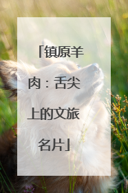 镇原羊肉：舌尖上的文旅名片