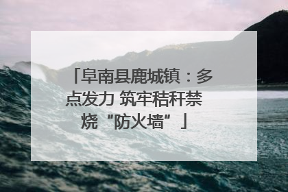 阜南县鹿城镇：多点发力 筑牢秸秆禁烧“防火墙”