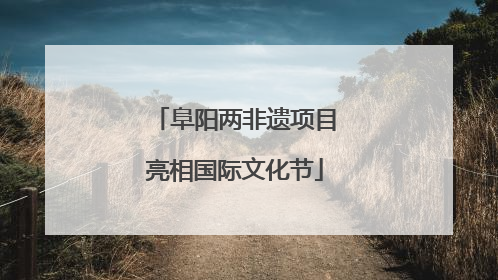 阜阳两非遗项目亮相国际文化节