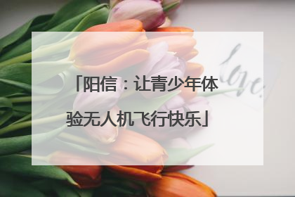 阳信：让青少年体验无人机飞行快乐
