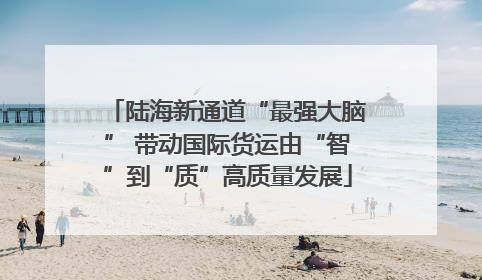 陆海新通道“最强大脑” 带动国际货运由“智”到“质”高质量发展