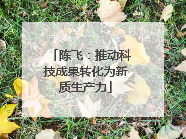 陈飞：推动科技成果转化为新质生产力
