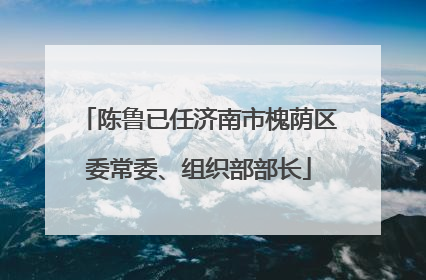 陈鲁已任济南市槐荫区委常委、组织部部长