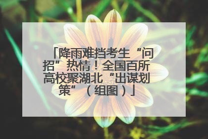 降雨难挡考生“问招”热情！全国百所高校聚湖北“出谋划策”（组图）