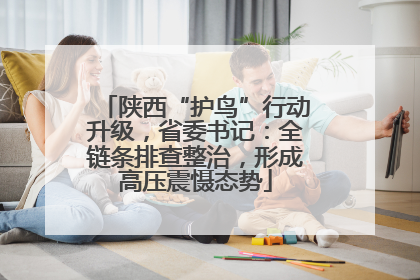 陕西“护鸟”行动升级，省委书记：全链条排查整治，形成高压震慑态势