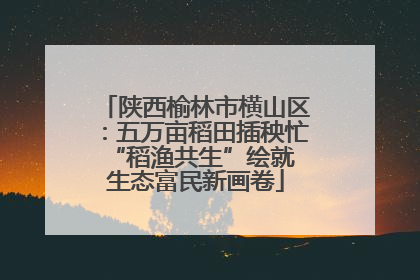 陕西榆林市横山区：五万亩稻田插秧忙 “稻渔共生”绘就生态富民新画卷