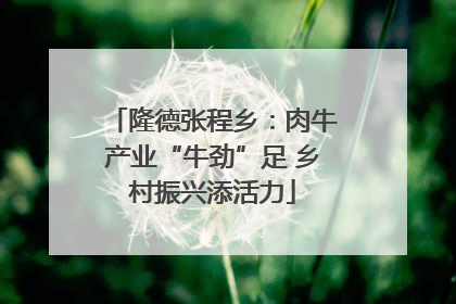 隆德张程乡：肉牛产业“牛劲”足 乡村振兴添活力