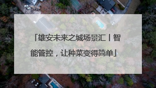 雄安未来之城场景汇丨智能管控，让种菜变得简单