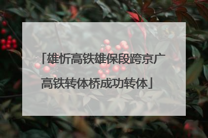 雄忻高铁雄保段跨京广高铁转体桥成功转体
