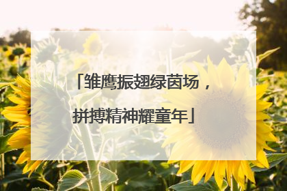 雏鹰振翅绿茵场，拼搏精神耀童年
